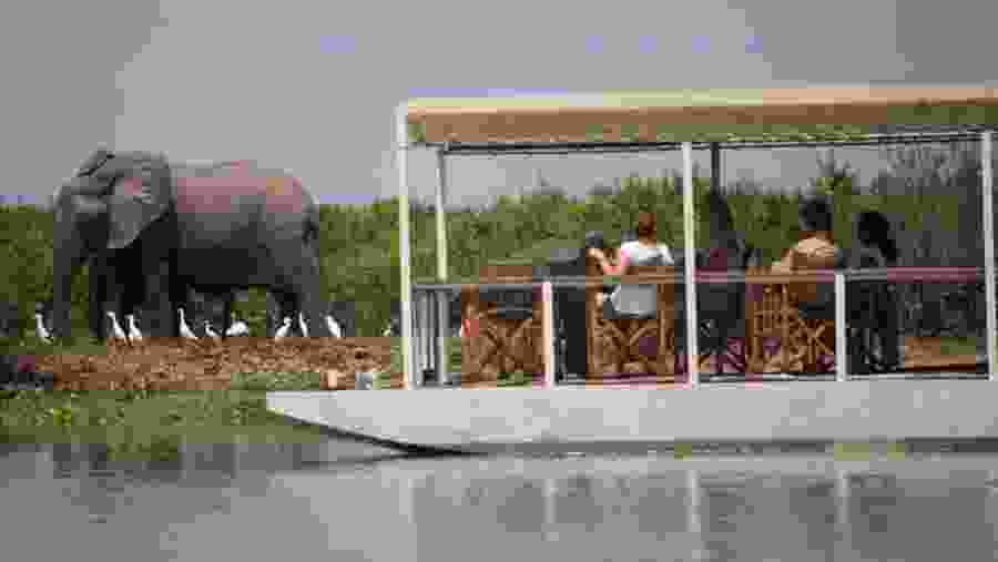 Boat Safari at Rufiji River