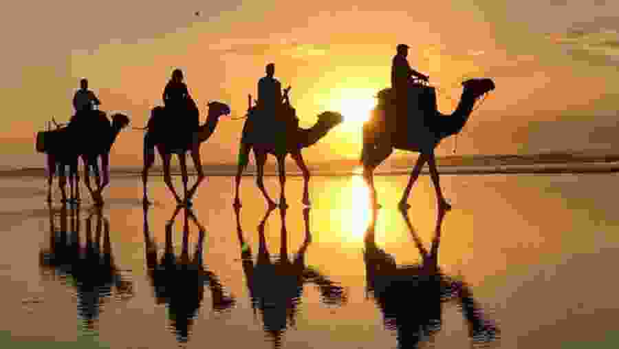 Travellers on camels