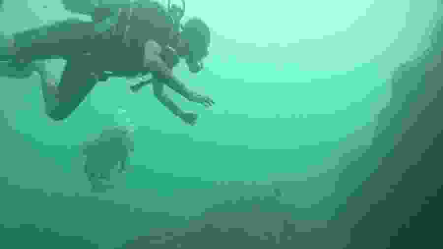 Scuba Diving in Mirissa