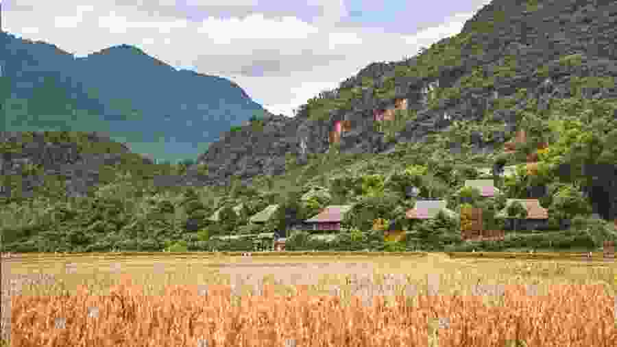 Mai Chau