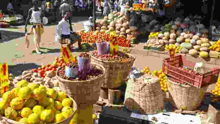 Explore the Local Markets of Mbare in Harare