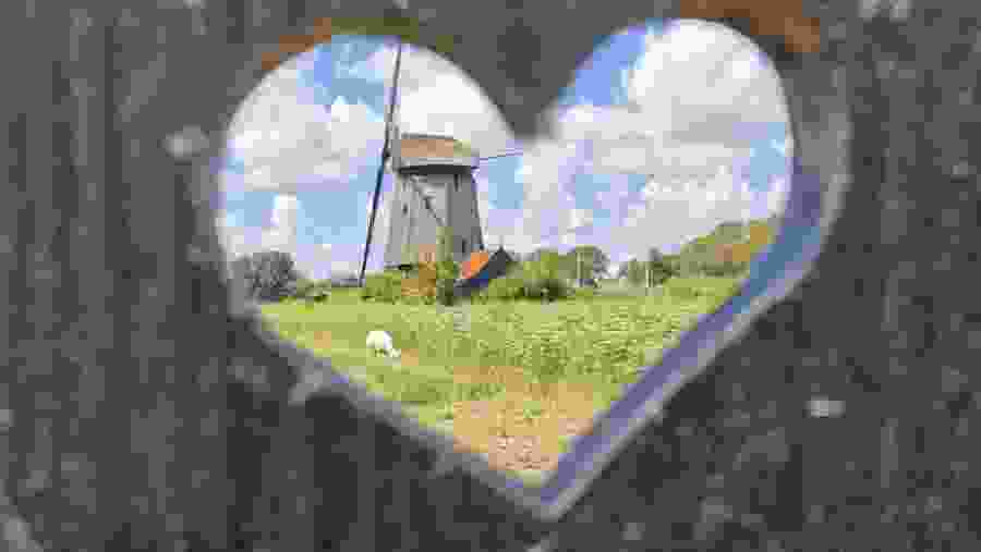 Windmill