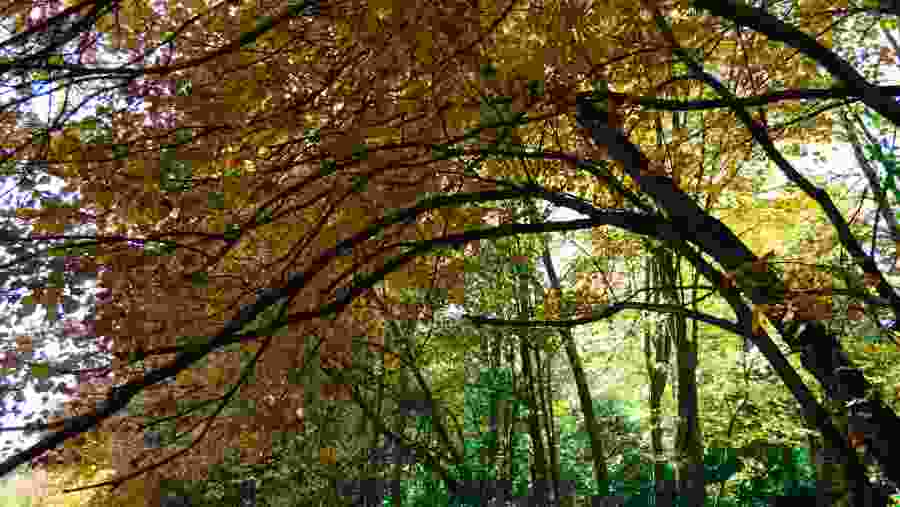 Puebla de San Miguel In Spain