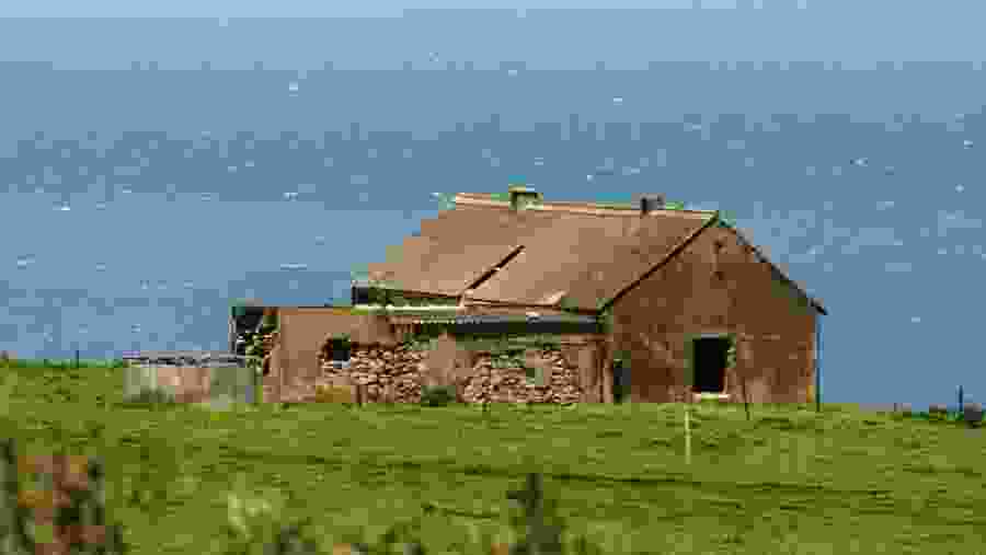 Stroll around the picturesque Alexandria