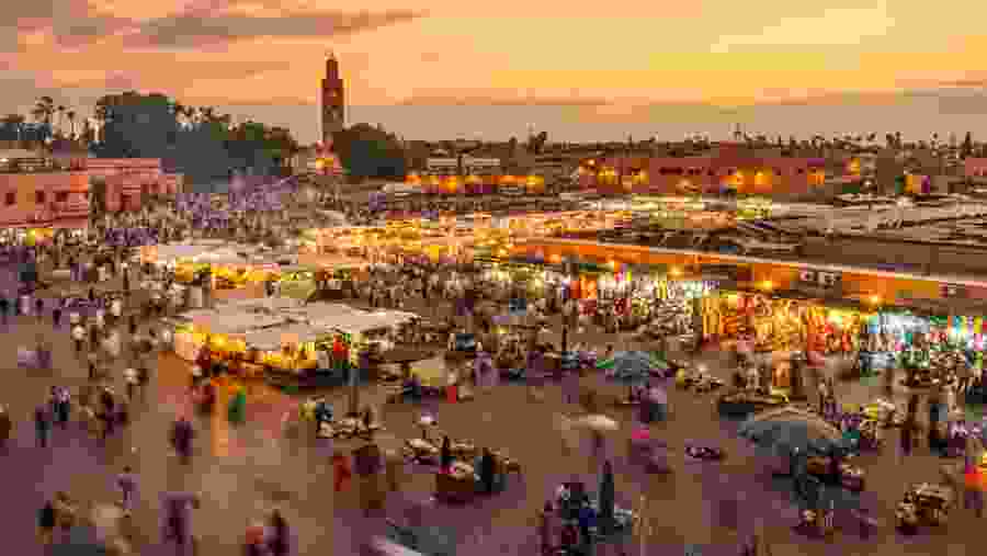 Explore Marrakech