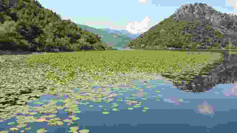Lake Skadar 