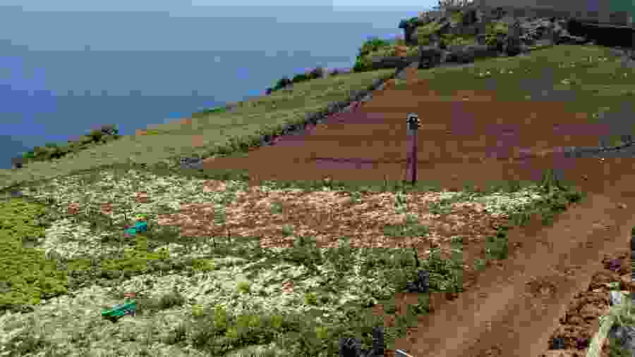 A Farmland On Madeira Island