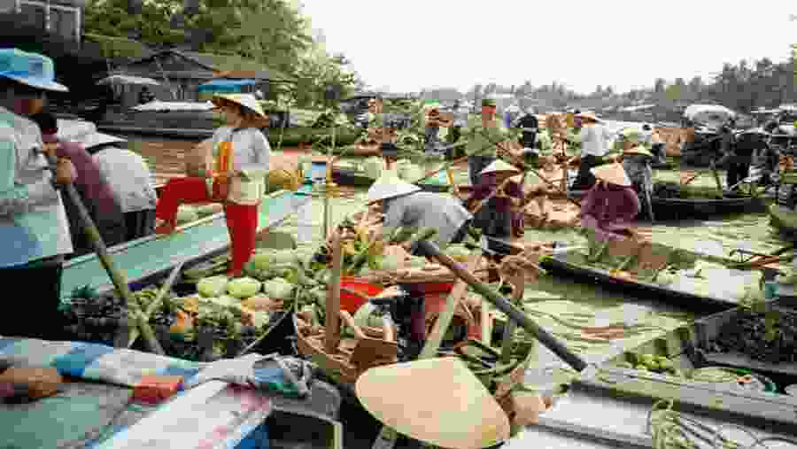 The floating fruit market in M? Tho, Vietnam