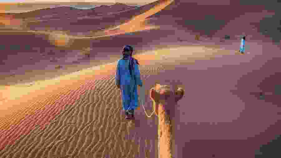 Camel riding in the Moroccan Desert