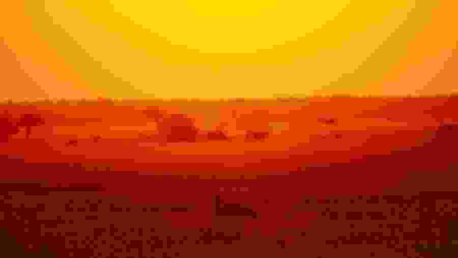 African sunset