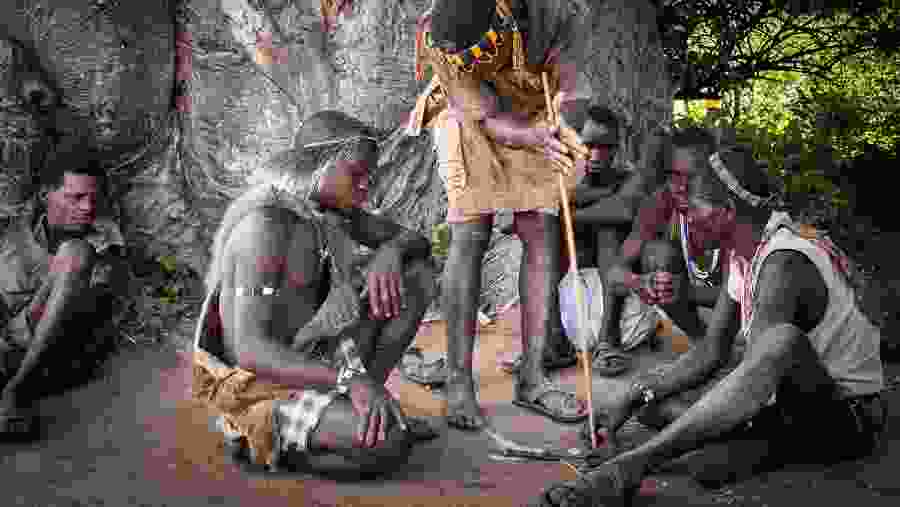 Tanzania Wildlife Safari