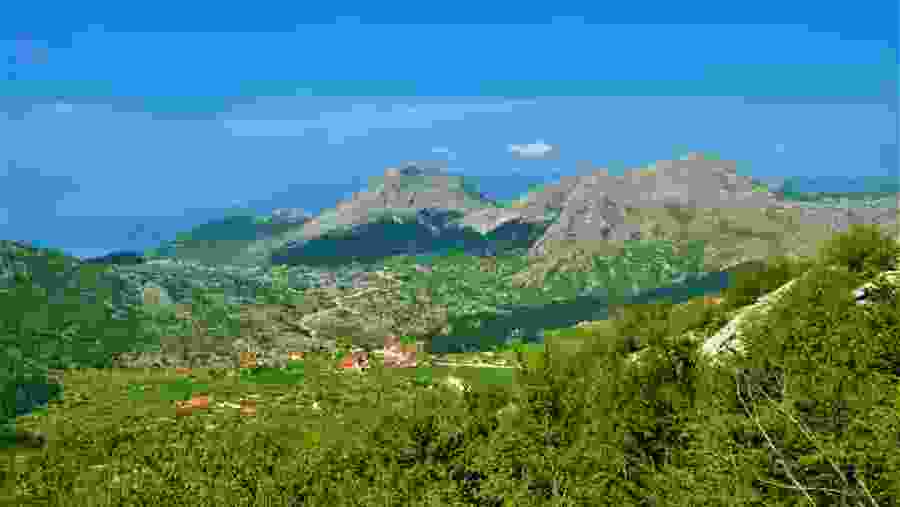 Lovcen National Park