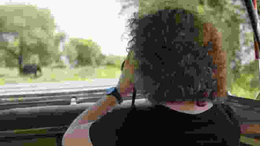 Witness the African wildlife