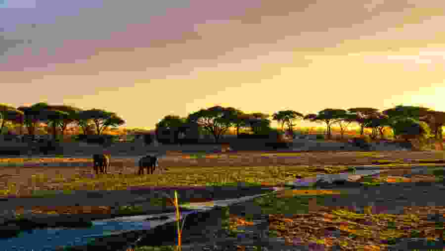 Ruaha National Park