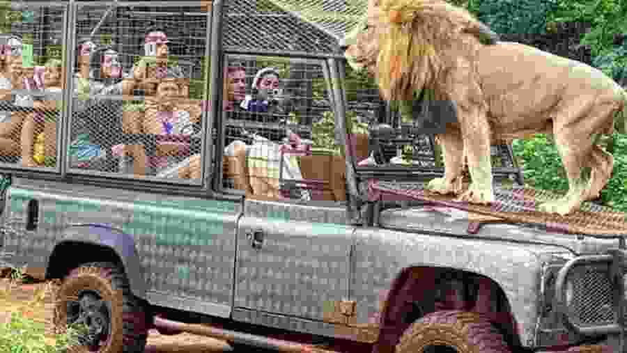 Bandia Animals Reserve