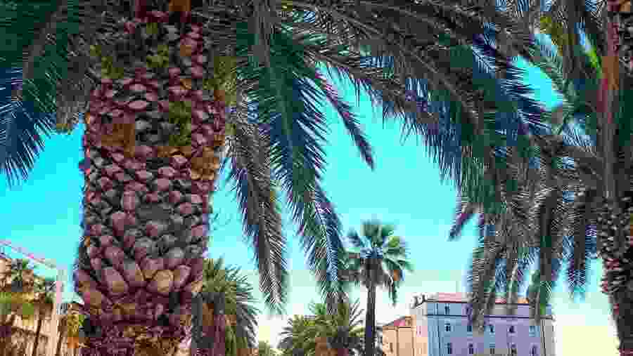 Discover the Best of Split