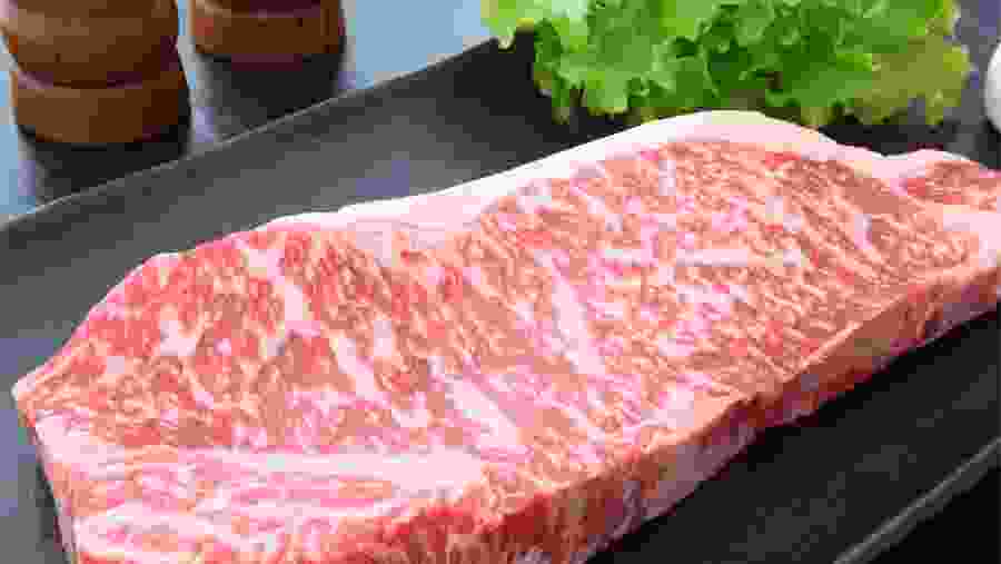 Master Kobe Marble Score 9