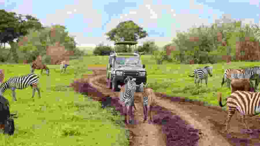 Serengeti National Park