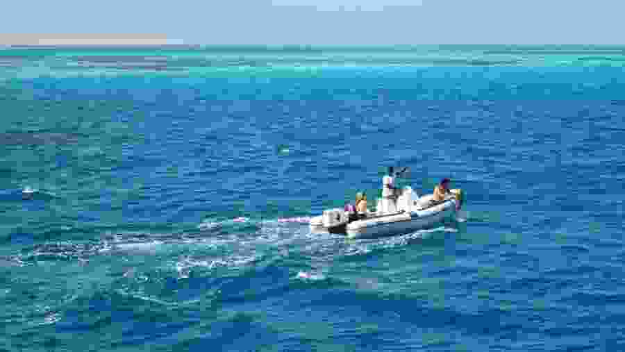 Travelers at the Orange Island