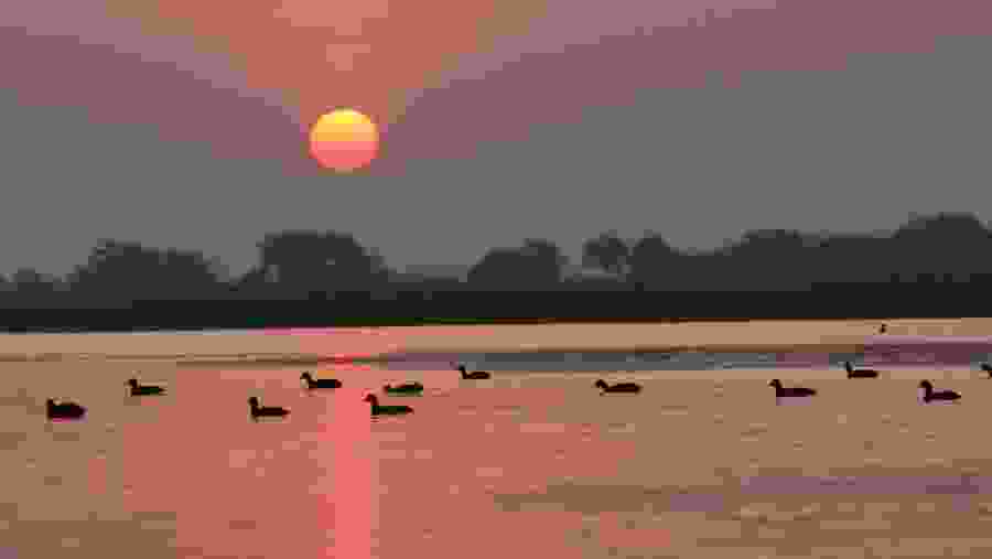 Nalsarovar Bird Sanctuary