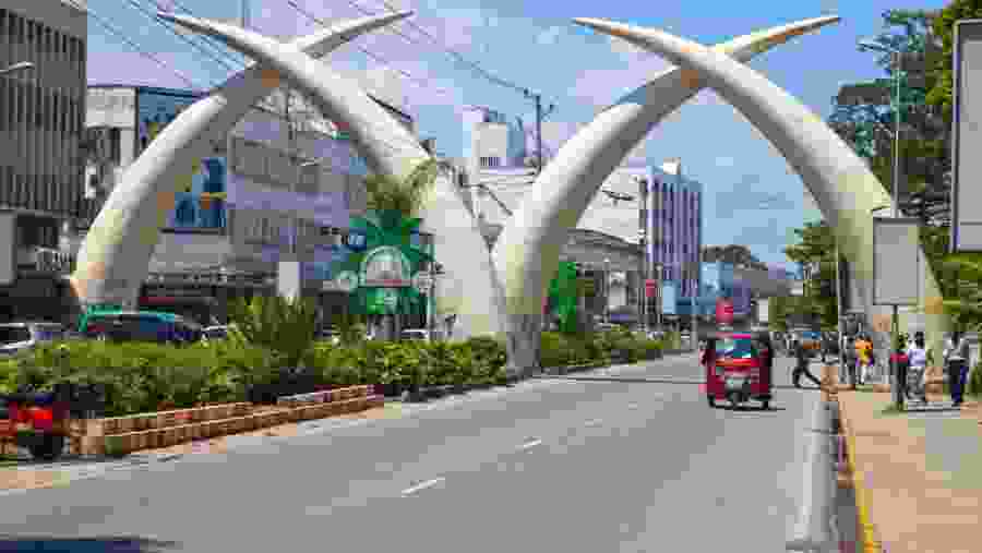 Mombasa Tusks