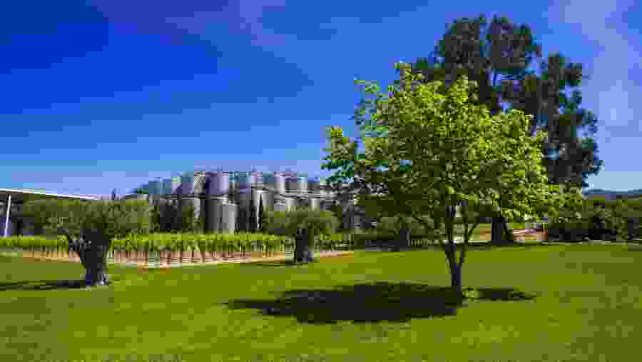 Winery