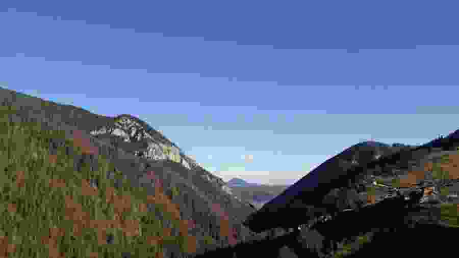 Forest and Mountain View from Râ?nov