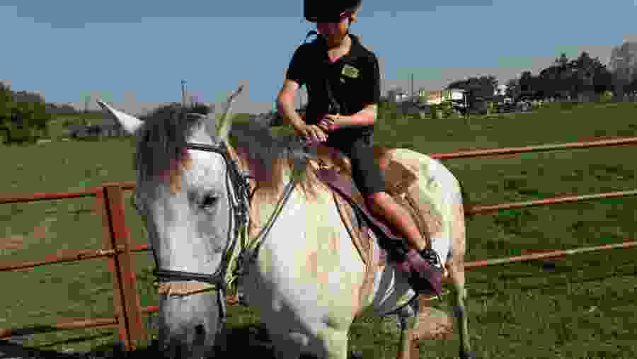Horse riding for kids