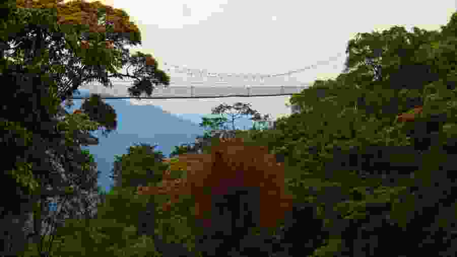 Nyungwe Forest National Park