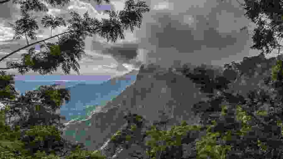 Hike to Usambara Mountains, Tanzania