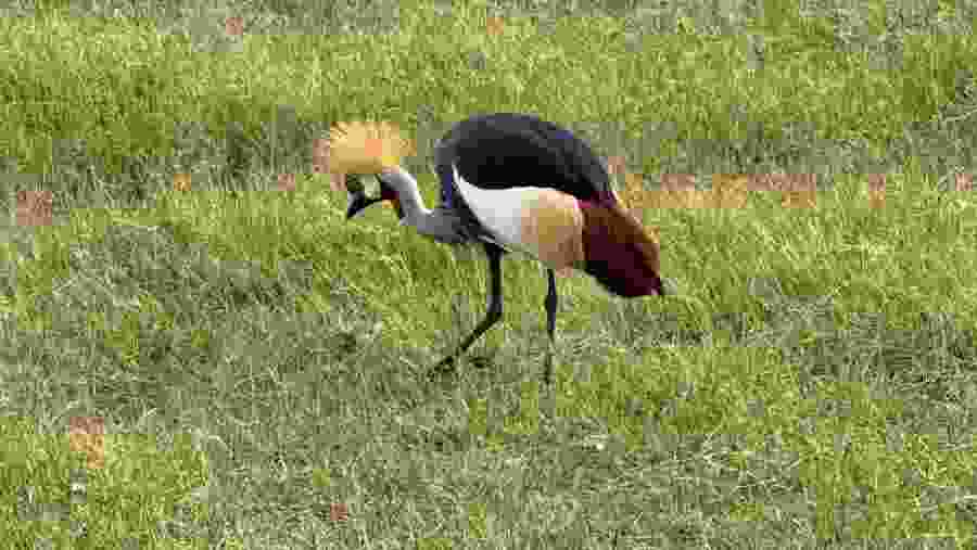 Serengeti National Park