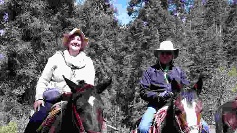 El Rosario Butterfly Sanctuarie 