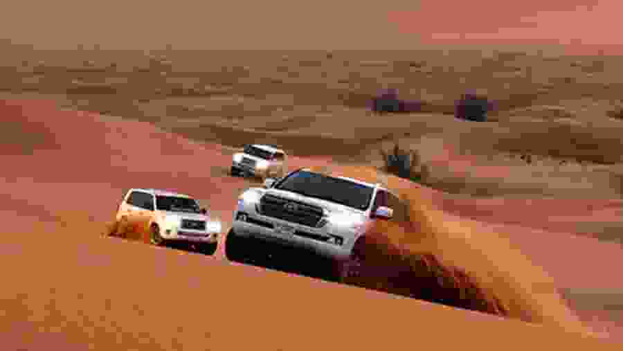 Enjoy a desert safari