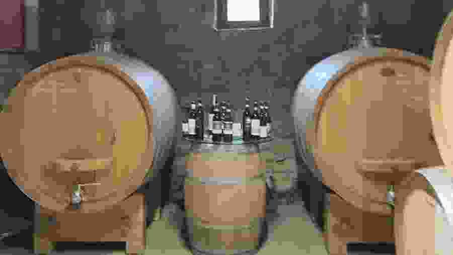 Wine tour in Chianti