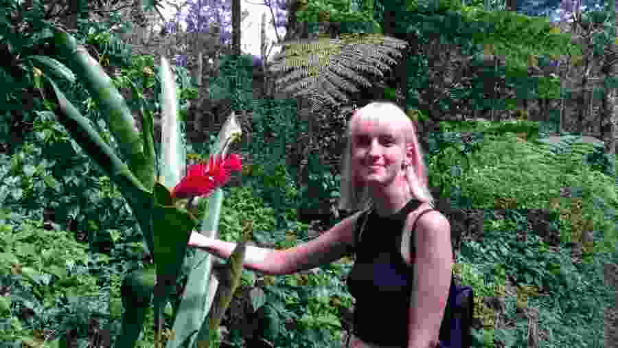 Teuila, Samoa's national flower