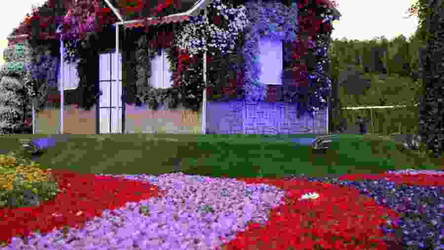 Walk through the mesmerising flora