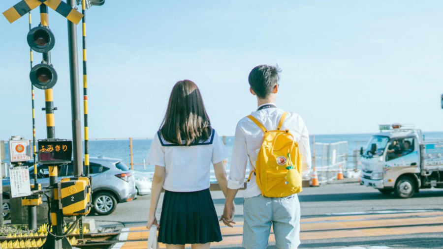 Travellers in Japan