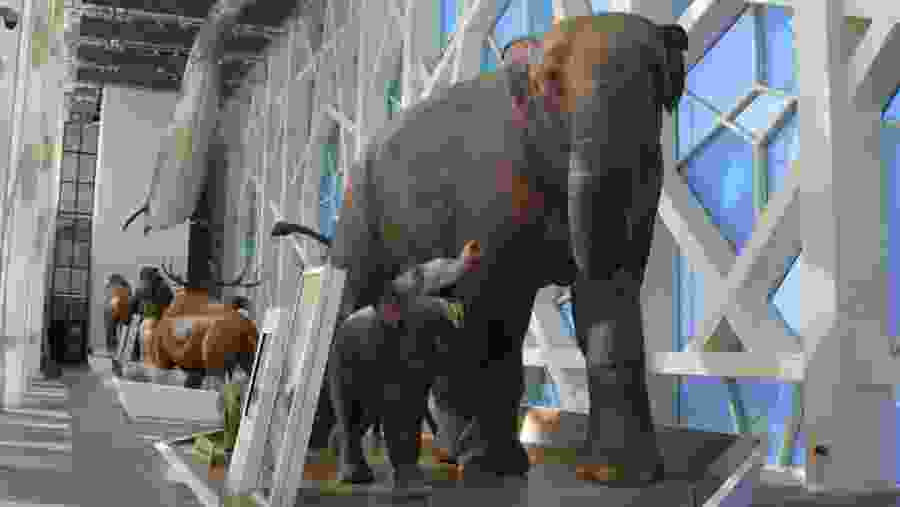 Inside one of the Museums