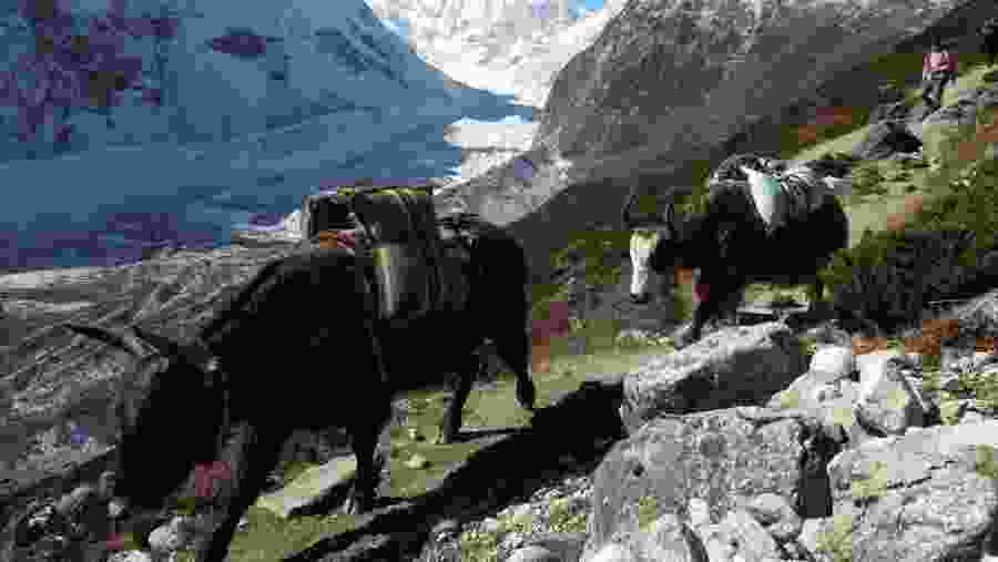 Manaslu Circuit Hike