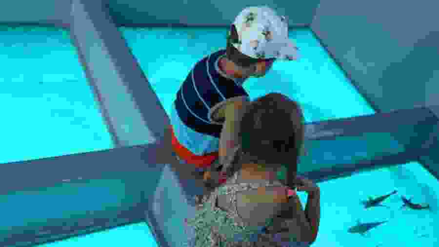 Travellers in the glass bottom boat