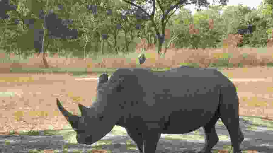 Fathala Safari Park