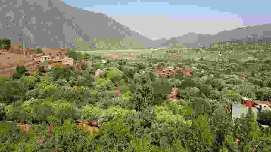 Ouirgane Mule trek