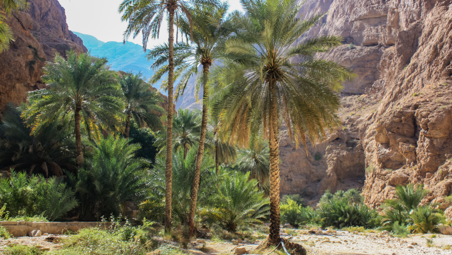 Oman Wadi Shab