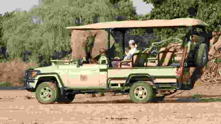 Marvel at up-close animal experiences in Hwange National Park