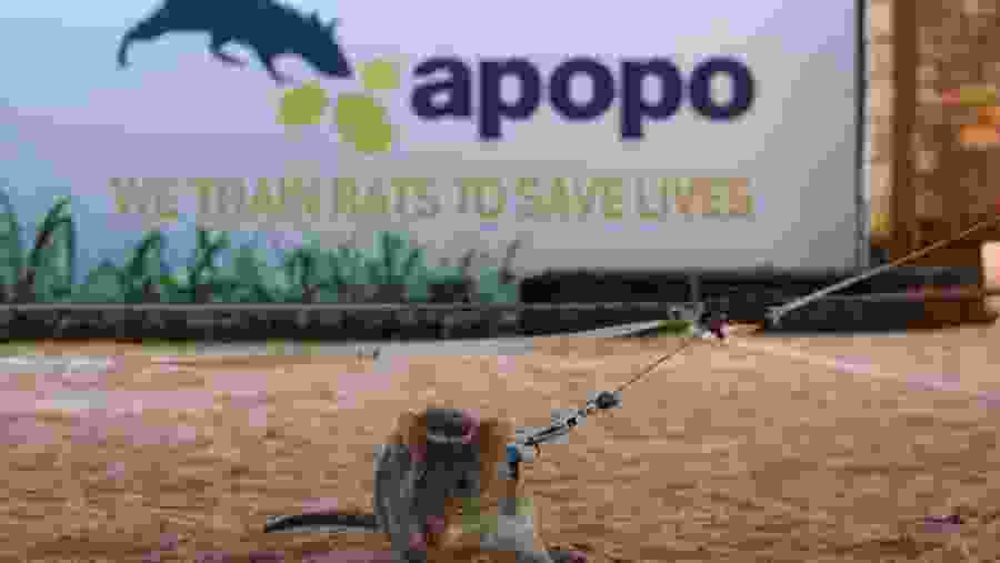 HeroRAT