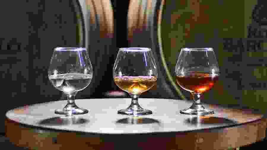 Enjoy tasting rum on this tour