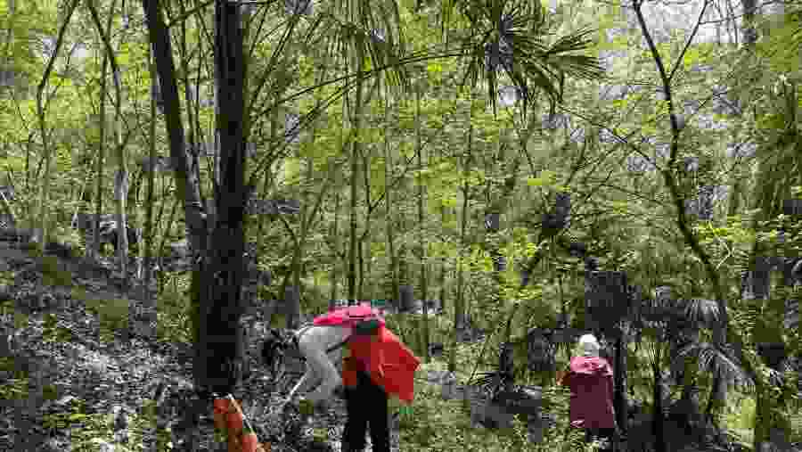 Root of Shanghai Tour in Songjiang Route 2