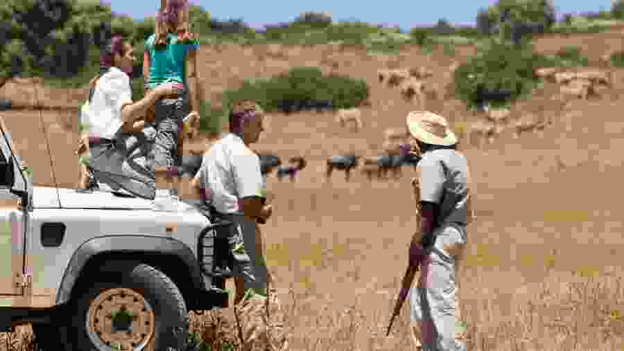 Fly-In Great Migration Experience