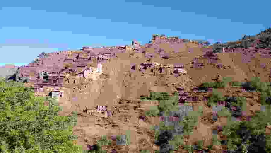 Birdwatching Experience