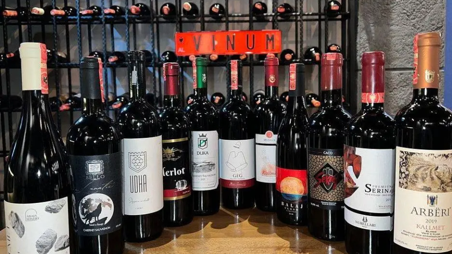 Wine Tasting in Durrës